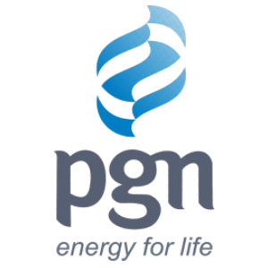 PGN logo